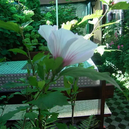 Гостевой дом Zodiac