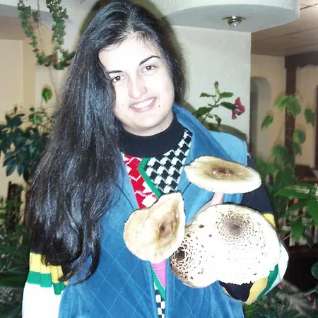 Zodiac Гостевой дом 2*