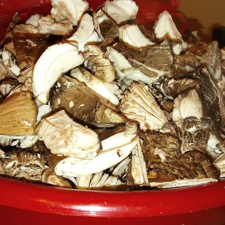 Гостевой дом Zodiac