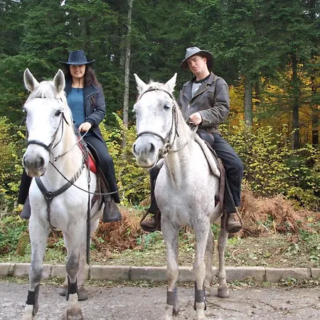 Гостевой дом Zodiac 2*